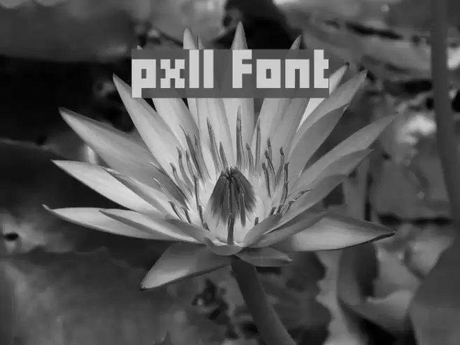 pxll Font examples