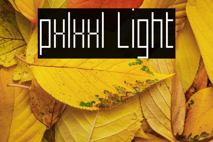 pxlxxl Light Example 1