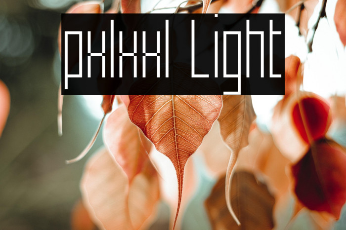 pxlxxl Light Example 2