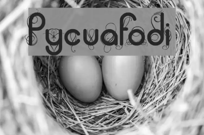Pycuafodi Font examples