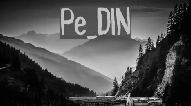 Pynkei_DIN Font examples