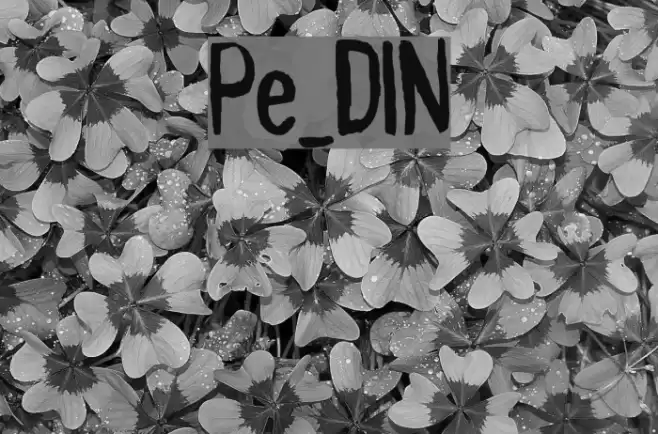 Pynkei_DIN Font examples