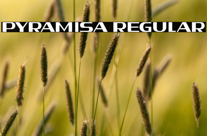 Pyramisa Regular Example 3