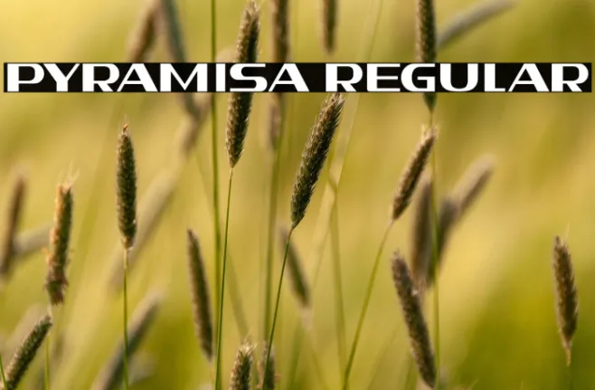 Pyramisa Regular Example 3