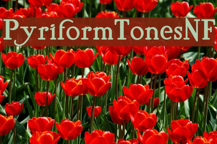 PyriformTonesNF Font examples