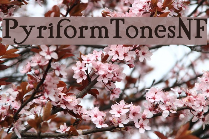 PyriformTonesNF Font examples