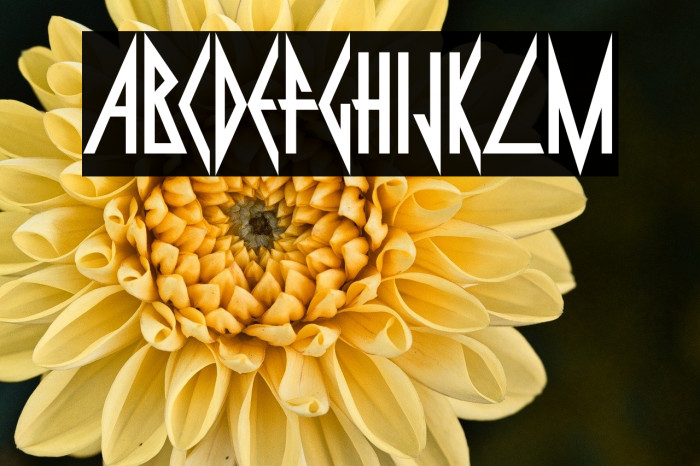 Pyrite-Regular Example 1