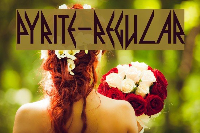 Pyrite-Regular Example 1