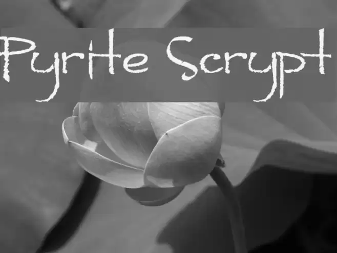 Pyrite Scrypt Font examples