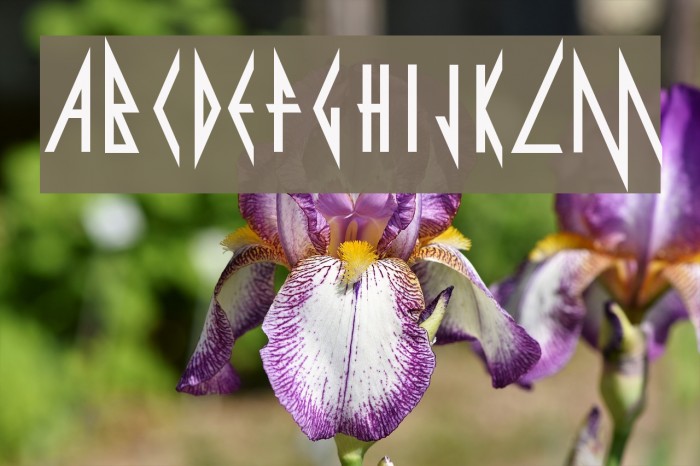 Pyrite Font examples