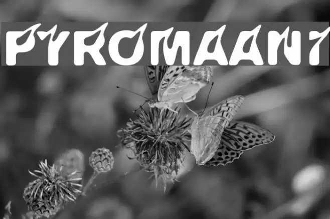 Pyromaani Font examples