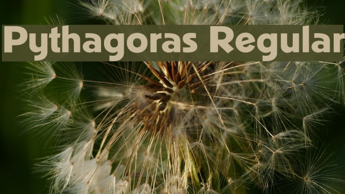 Pythagoras Regular Font examples