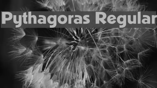 Pythagoras Regular 字体 examples
