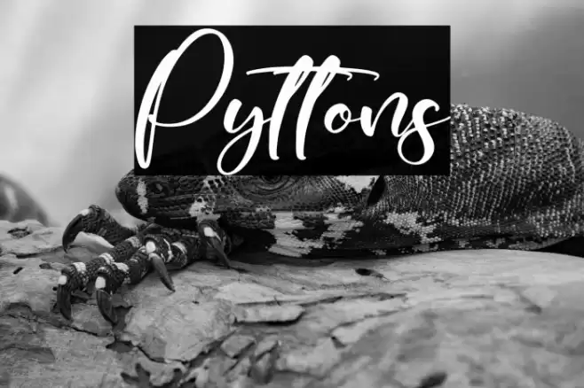 Pyttons خط examples