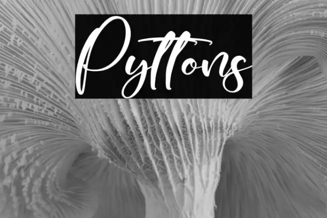 Pyttons خط examples