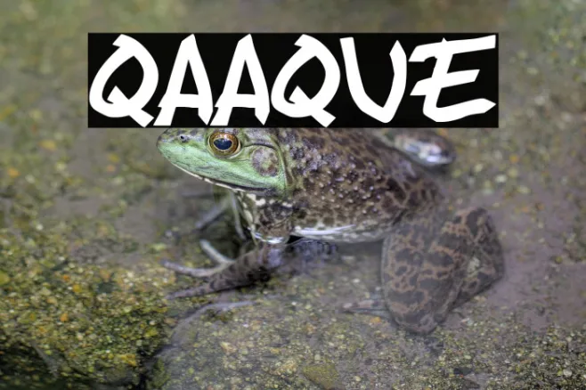 QAAQUE Example 3