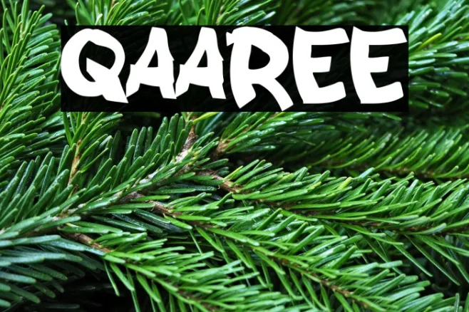 QAAREE Example 2