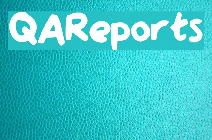 QAReports フォント examples