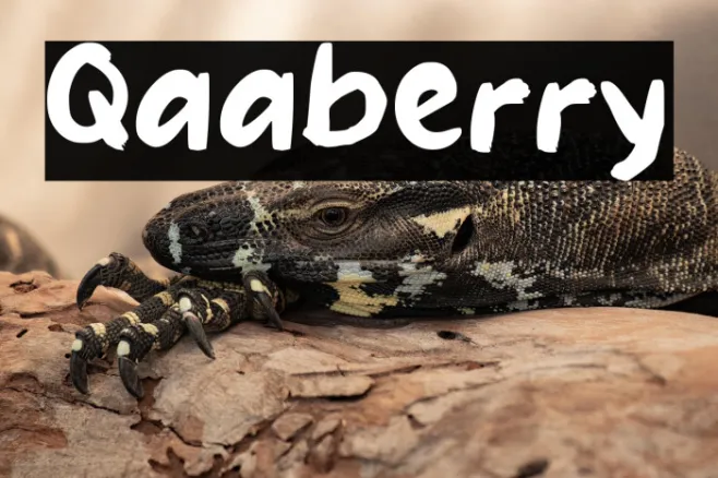 Qaaberry Example 1
