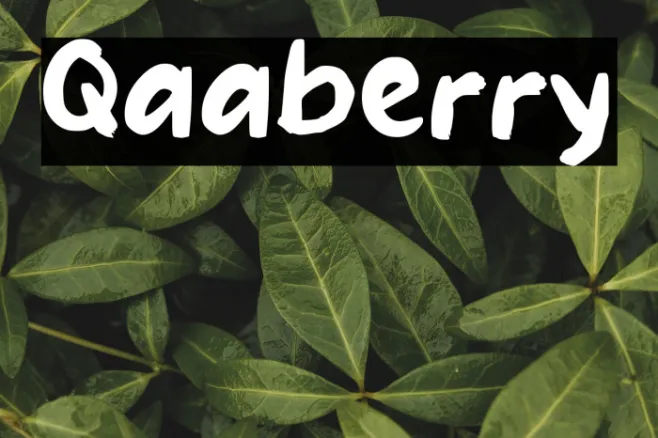 Qaaberry Example 3