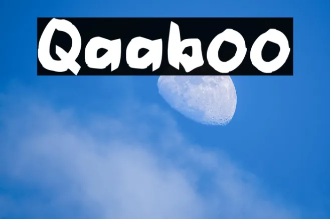 Qaaboo Example 1