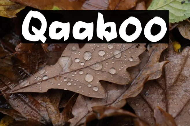 Qaaboo Example 2