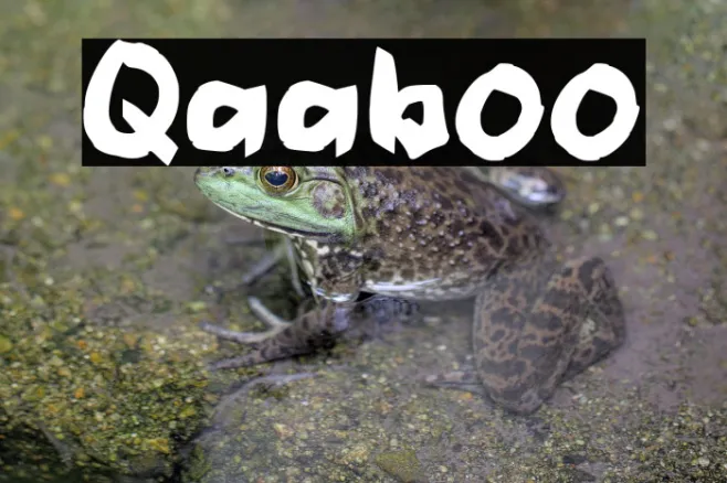 Qaaboo Example 3