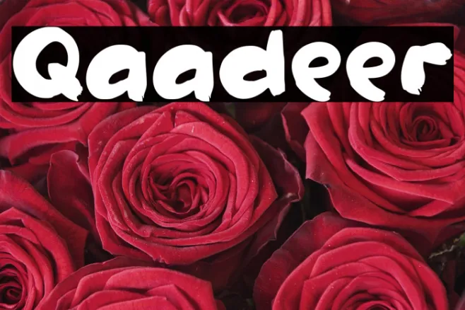 Qaadeer Example 2