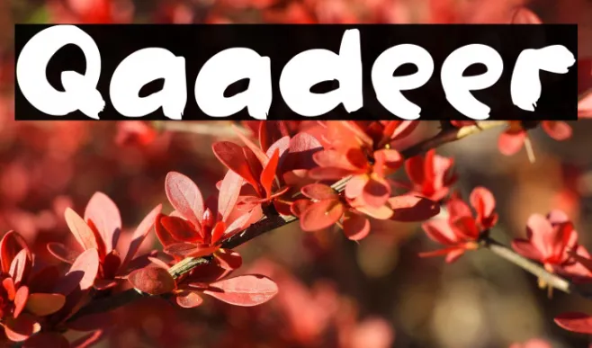Qaadeer Example 3