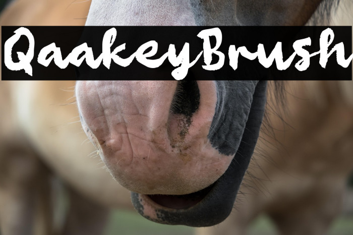 Qaakey Brush Example 1