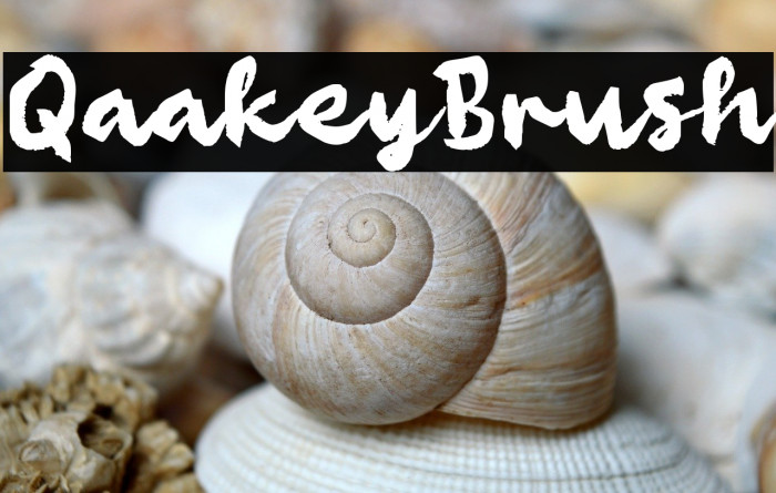 Qaakey Brush Example 2