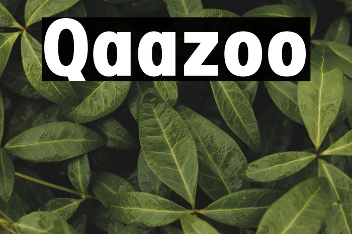 Qaazoo Example 1