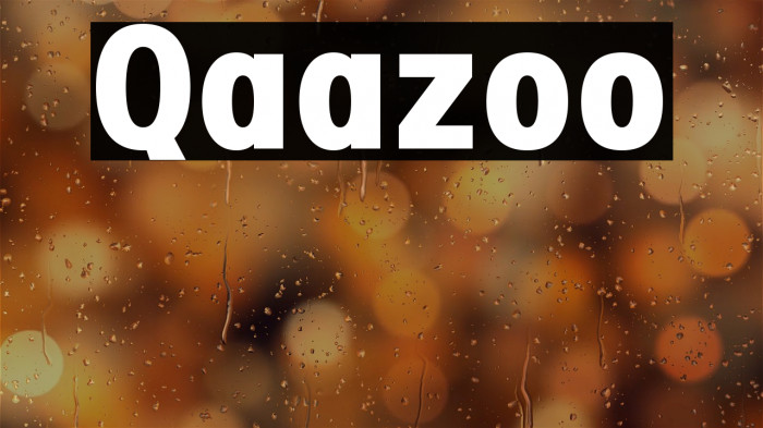 Qaazoo Example 2