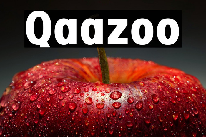 Qaazoo Example 3