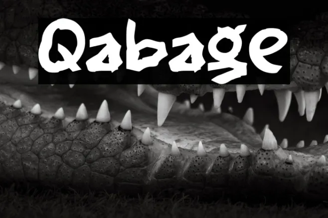 Qabage Example 1