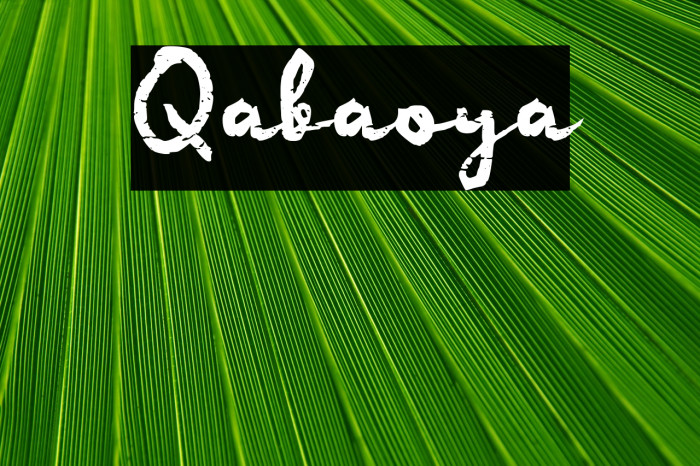 Qabaoya Example 2