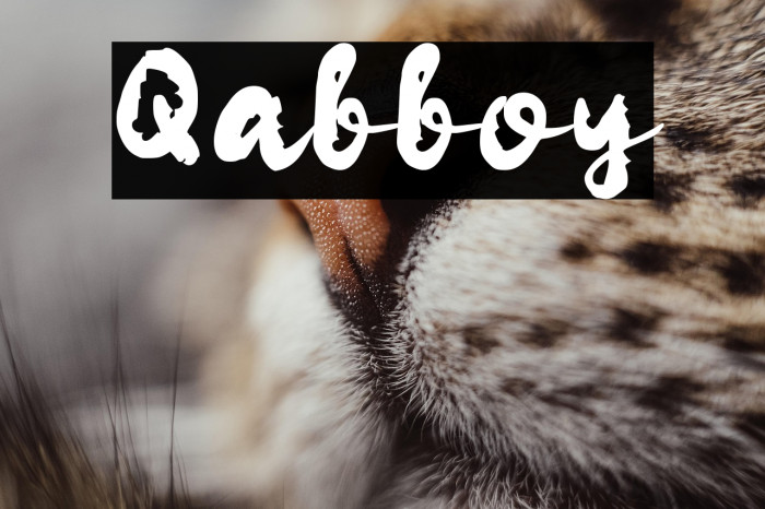 Qabboy Example 2