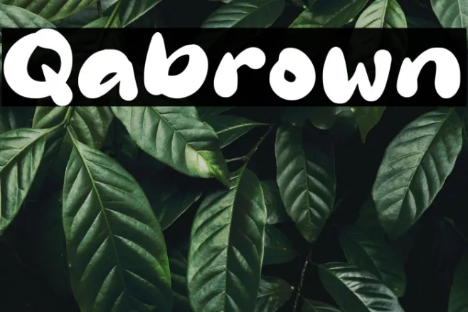 Qabrown Example 2