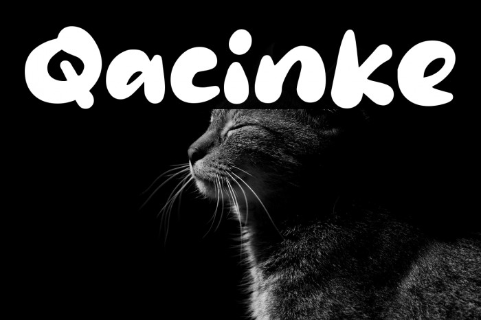 Qacinke Fonte examples