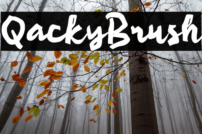 Qacky Brush Example 1