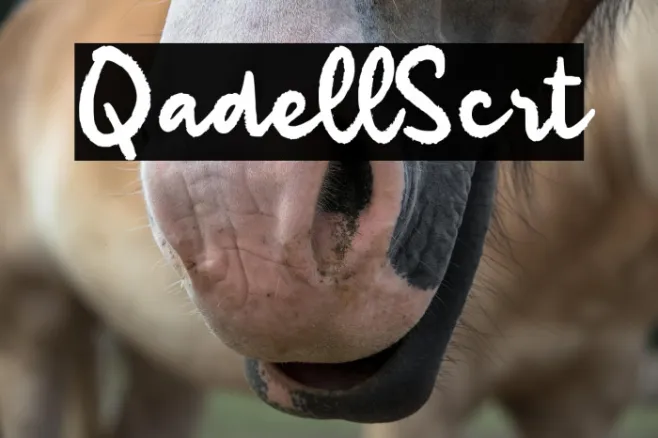Qadell Script Example 3