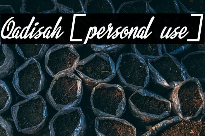 Qadisah [personal use] Example 1