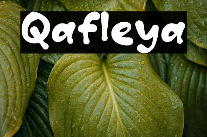 Qafleya Example 3