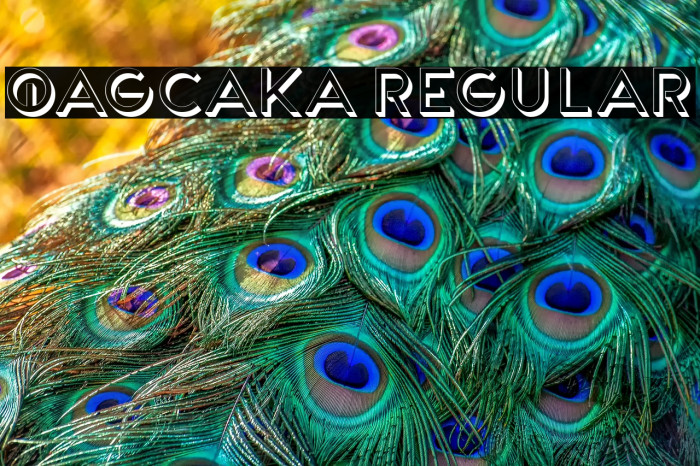 Qagcaka Regular Example 3