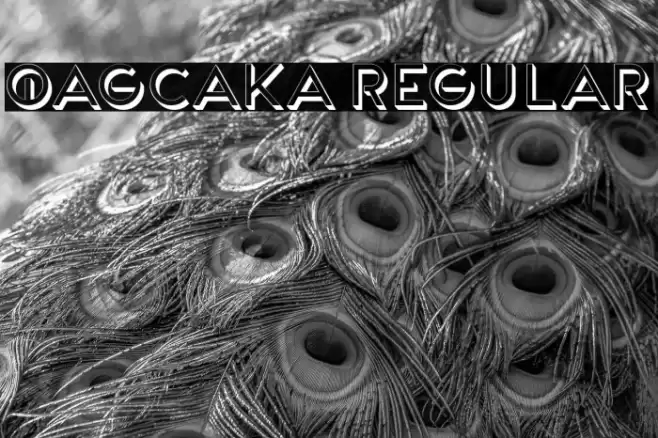 Qagcaka Regular Fonte examples