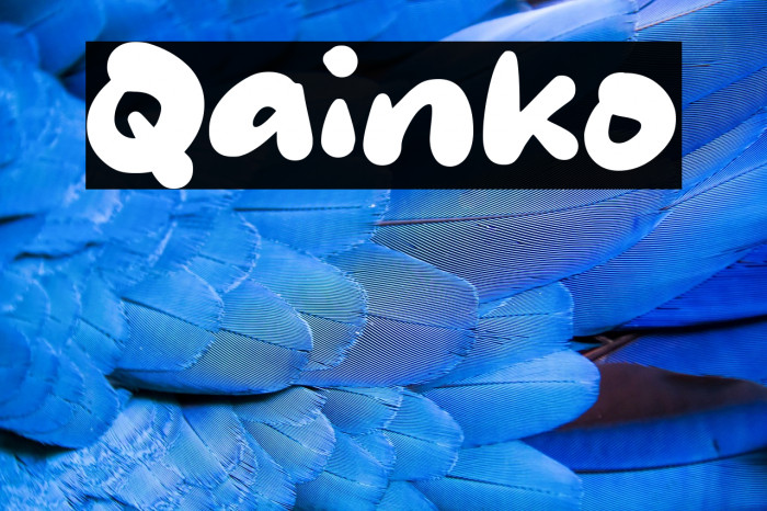 Qainko Example 2