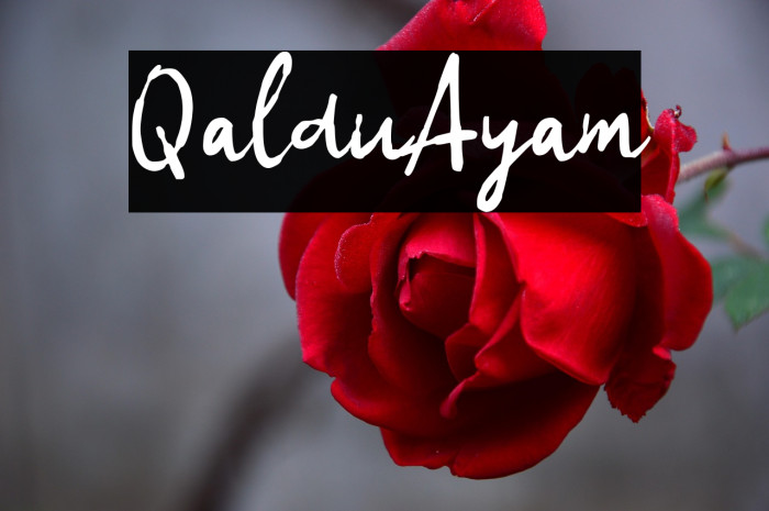 Qaldu Ayam Example 2