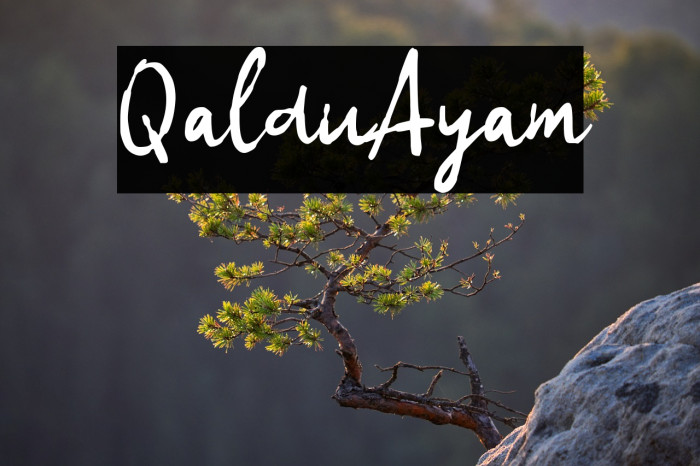 Qaldu Ayam Example 3