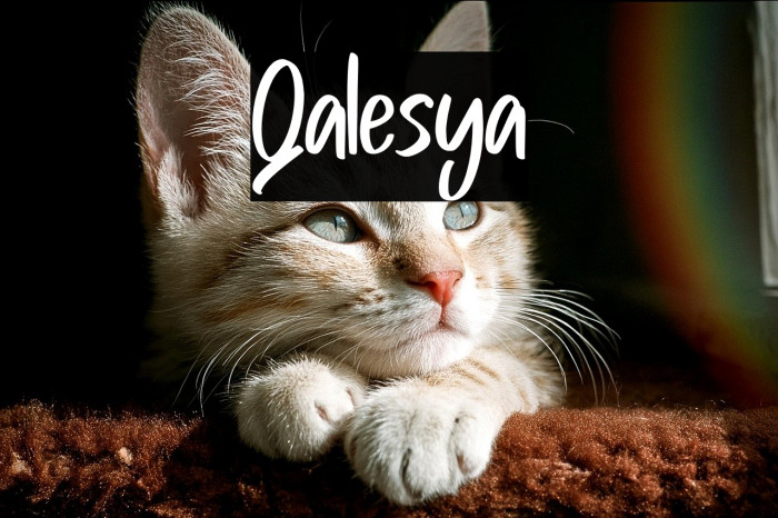 Qalesya Example 2