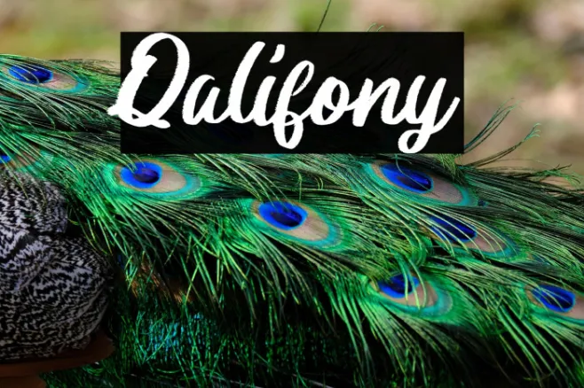 Qalifony Example 1